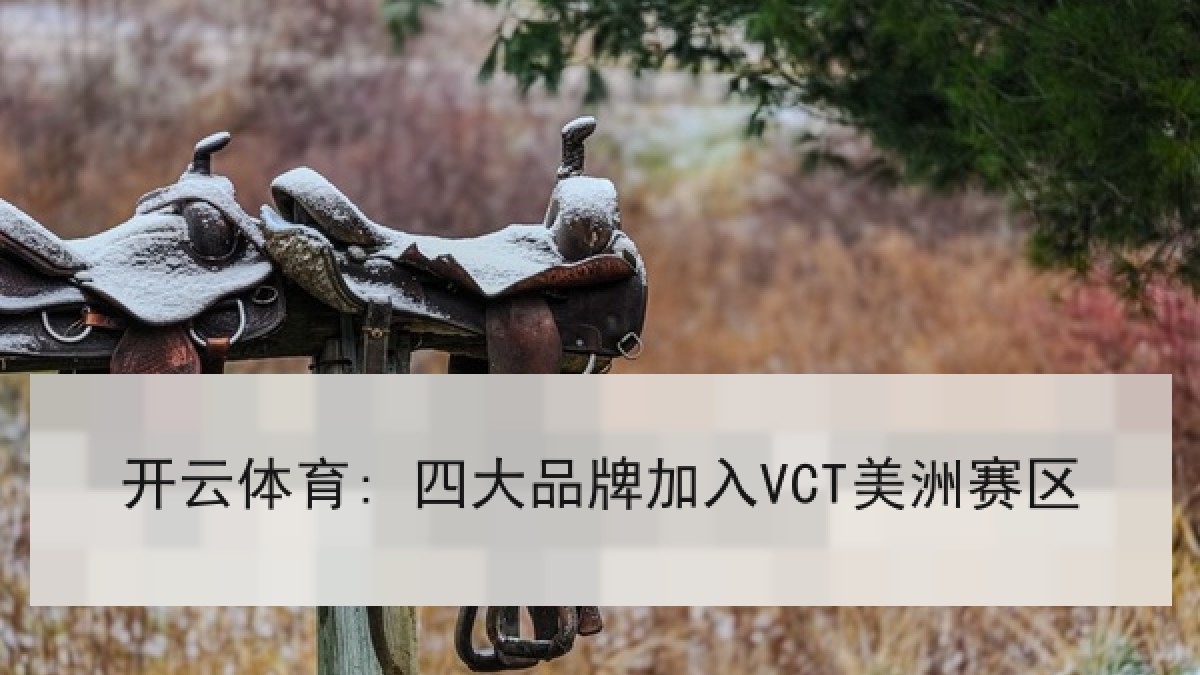 开云体育: 四大品牌加入VCT美洲赛区 开云体育: 四大品牌加入VCT美洲赛区